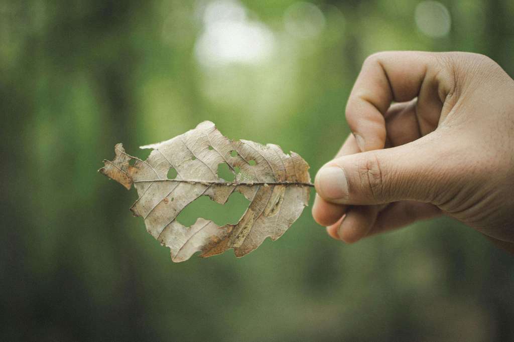 Mielen suojat – kun selviytymismallista tulee&nbsp;persoonallisuus