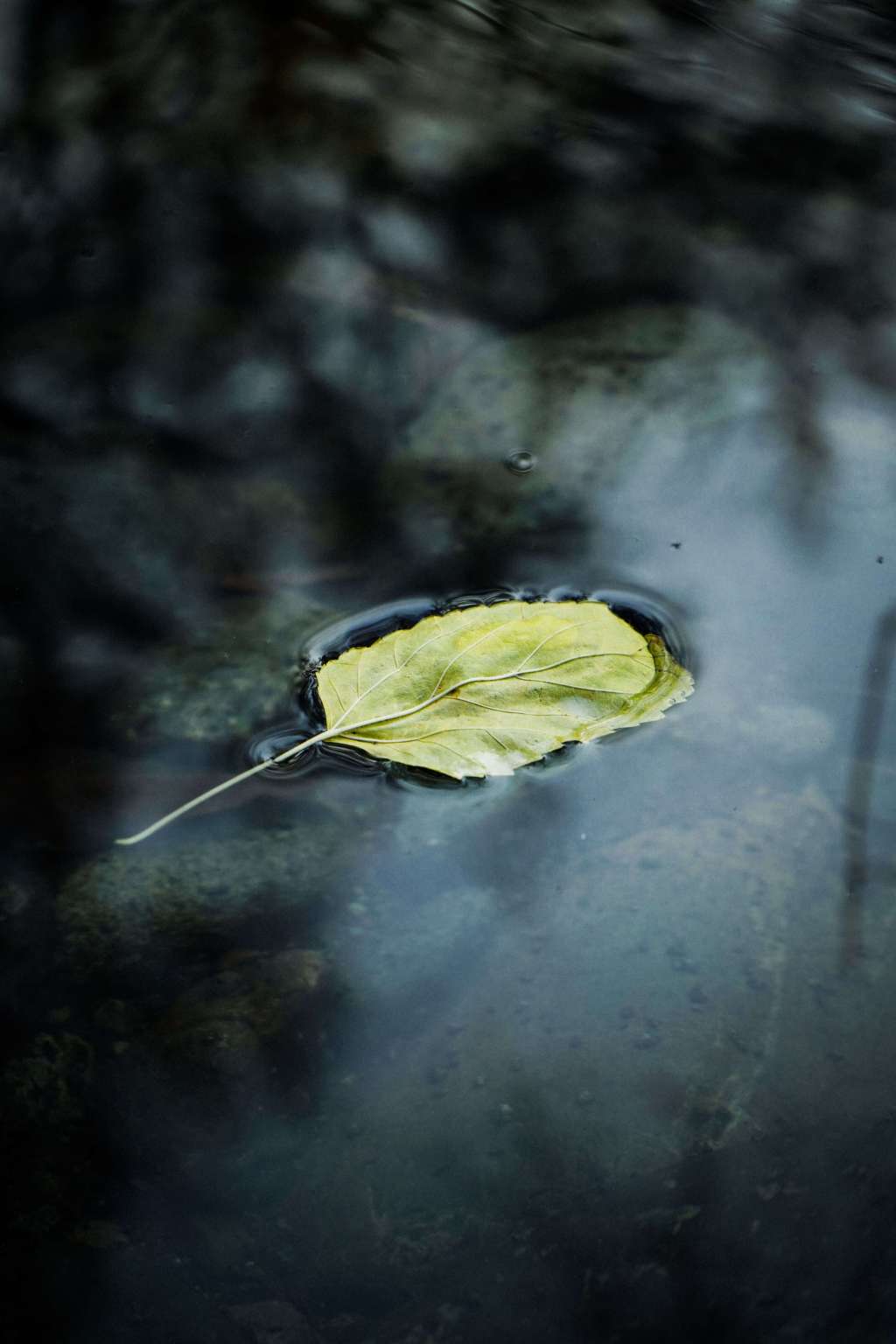 Mindfulness-harjoitukset terapian tukena